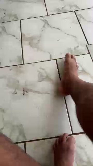 Angeloreis's Profile