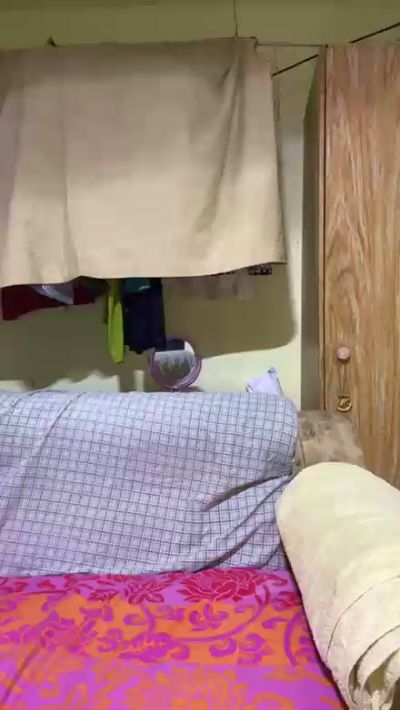 AthenaFoxy's Profile