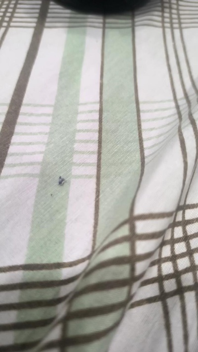 Bbnovinharj's Profile