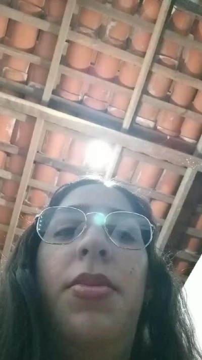 Boneca_Trans67's Profile