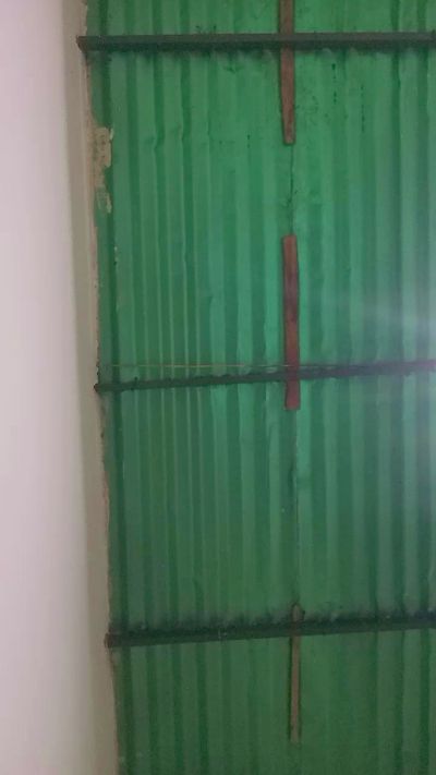 Braint2026's Profile