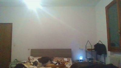 Bsxtravbologna's Profile