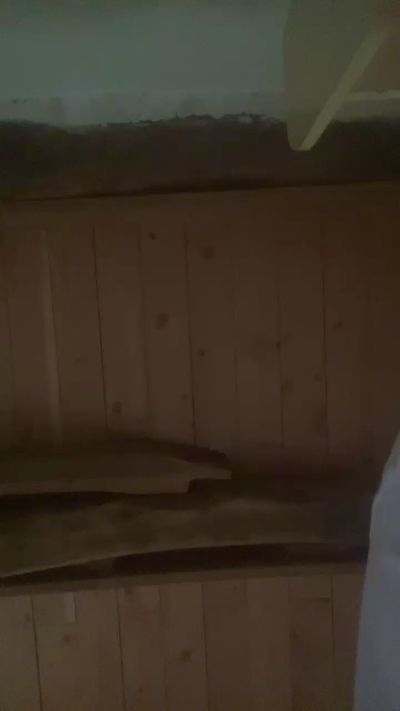 Ctor49's Profile