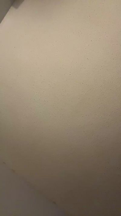 Eyew1llsow_u's Profile