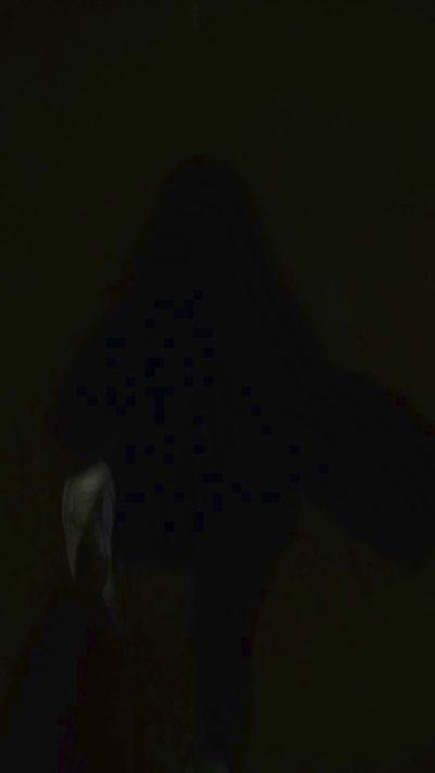 FabiolaMxX's Profile