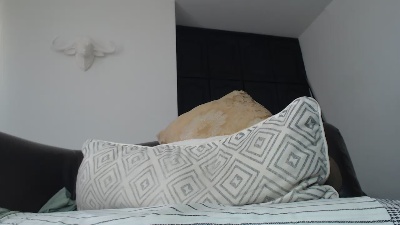 GUYTAV30's Profile