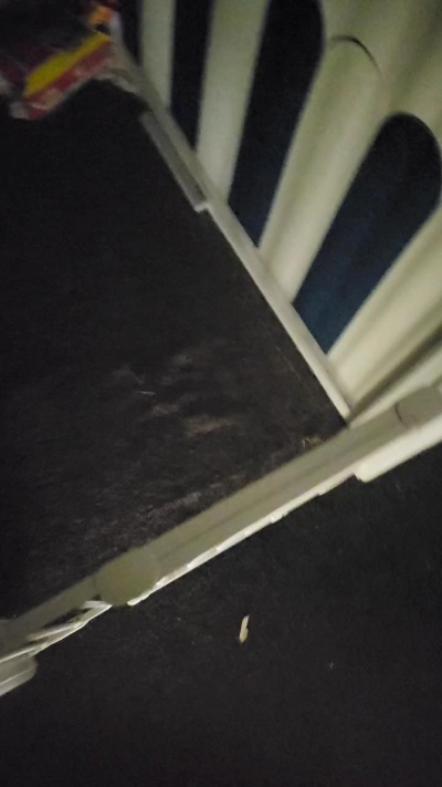 Hornydforyou's Profile