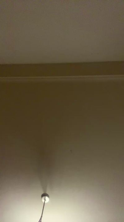Janitorasta30's Profile