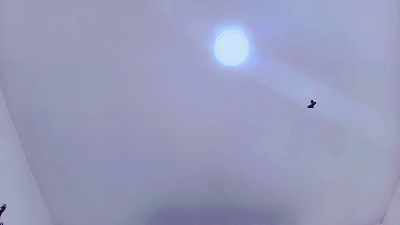 KattyLatina's Profile