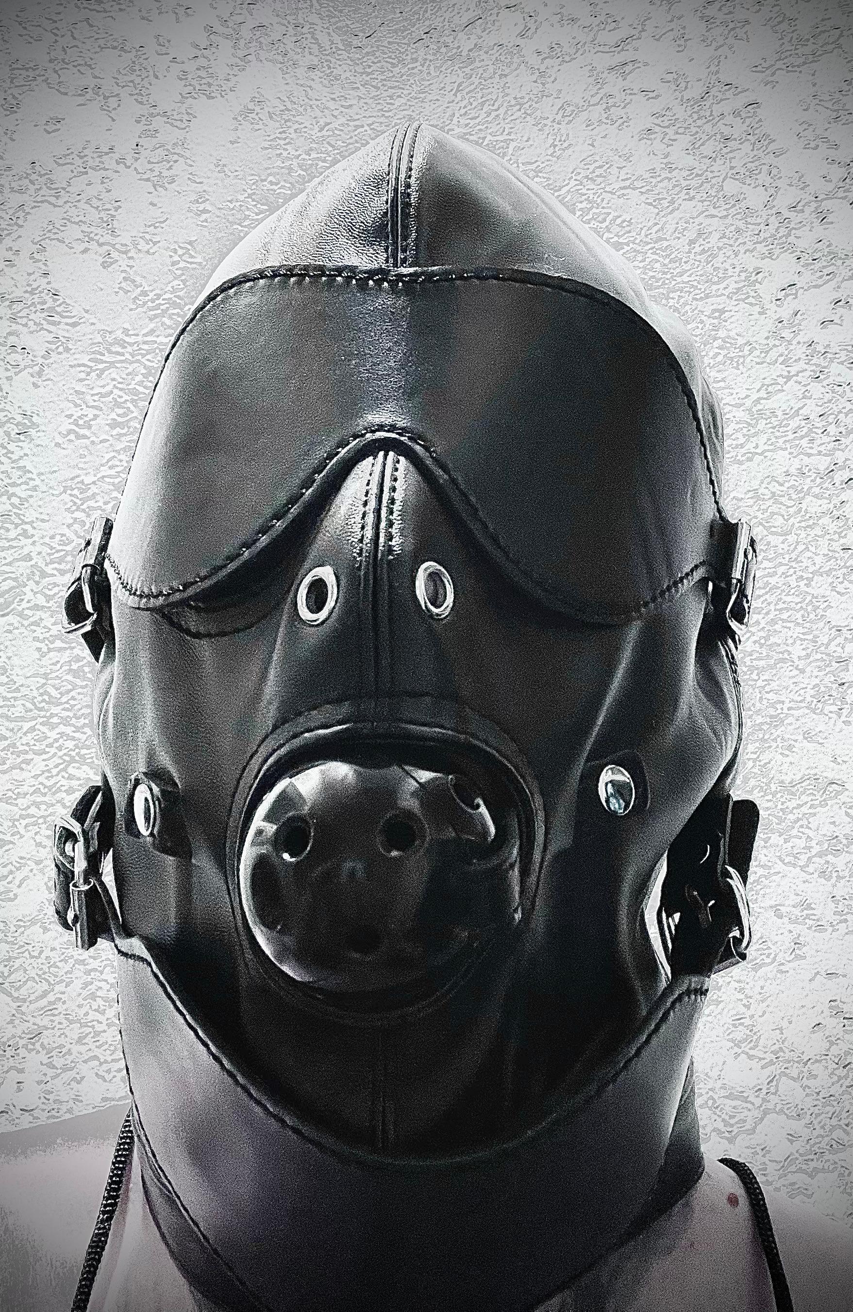 Knottin_Church's Profile