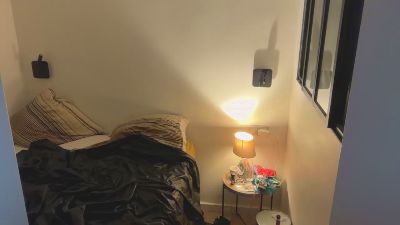 LionRequiem690's Profile