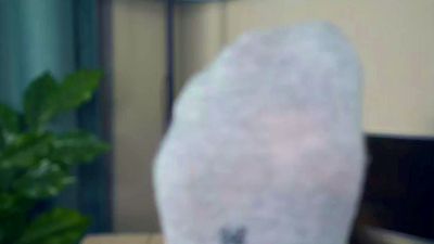 LisetteAmistadi's Profile