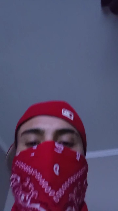 Maestropancho's Profile