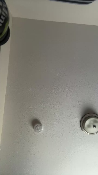 NastyBesties's Profile