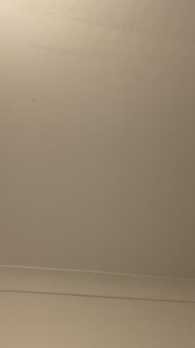 Nyxiaveilvixen's Profile