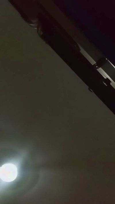 PorciNuovi's Profile