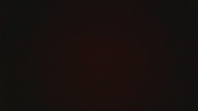 Priinciipepersa's Profile