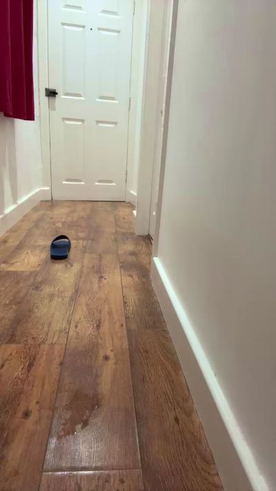 PublicSlutShow's Profile