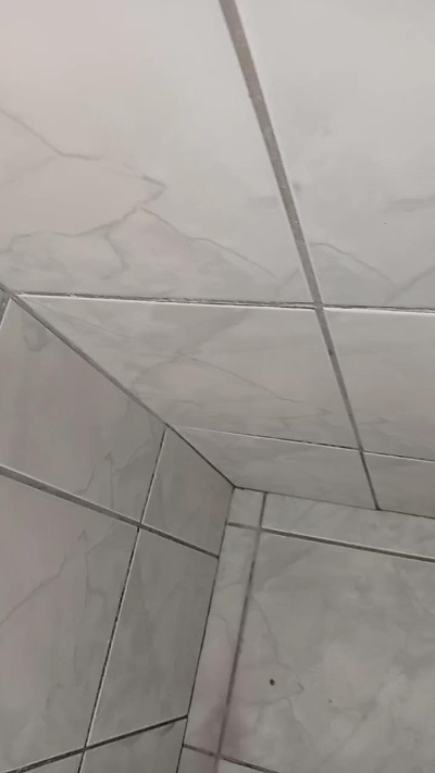 Safadinho2304's Profile