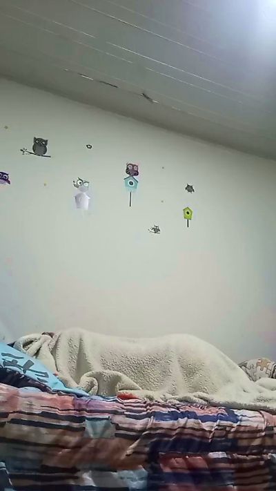 SexiMorenito97 Profile Image