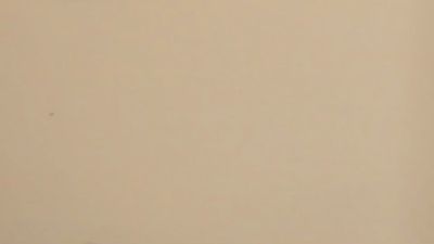 ShawnnaAncar's Profile