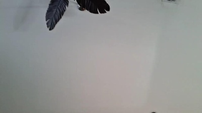 TaylorClearwood's Profile