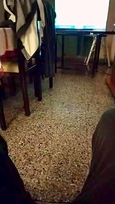 Tedoylalechita's Profile