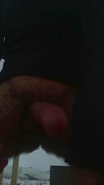 The_white_lion's Profile