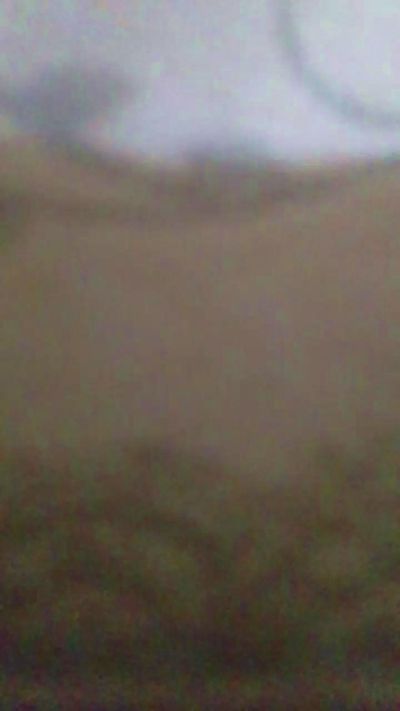 Thundercouple92's Profile