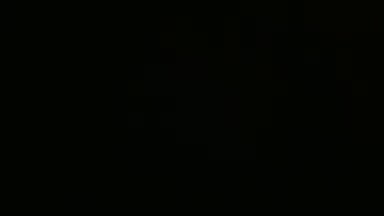 Willsex2024's Profile