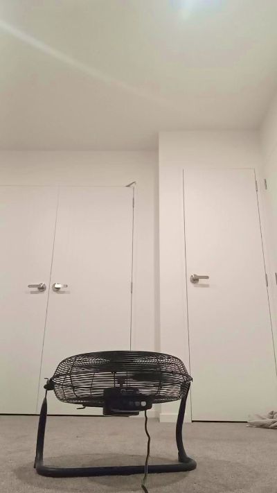 XMissyMaoriX's Profile