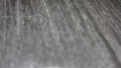 _scruffy_pup's Profile