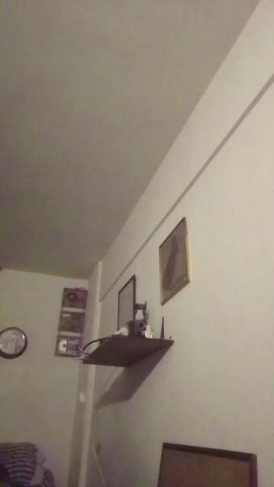 adrianmarpla's Profile