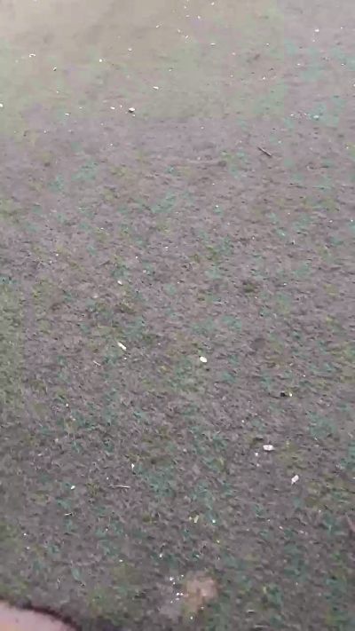 alejhecmen_Pori's Profile