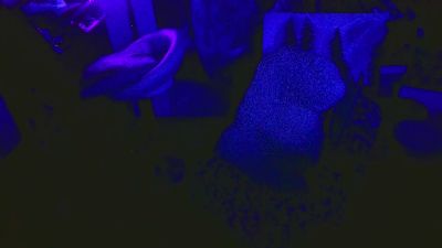 blindsurfer's Profile