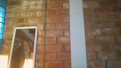 boomlatino2025's Profile