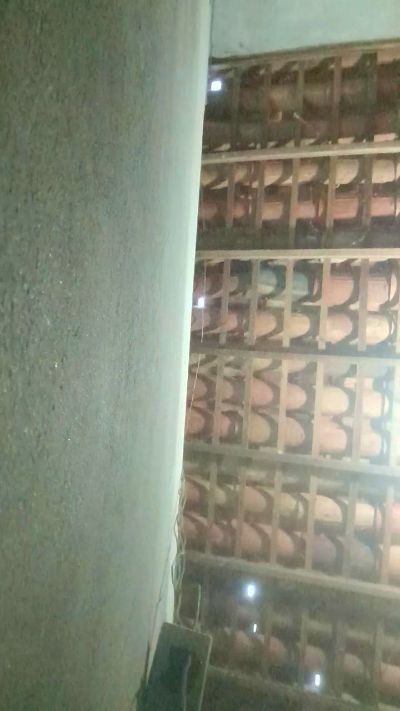 capetinha1821's Profile