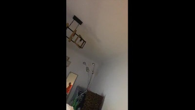 chienne_hard2's Profile