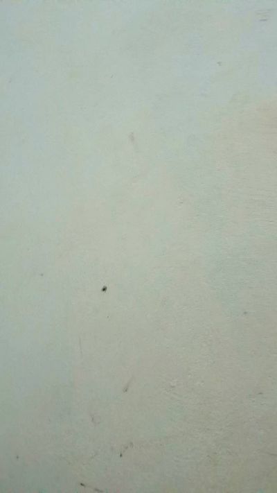 claraputinha69's Profile