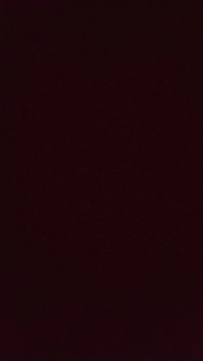 conejita228's Profile