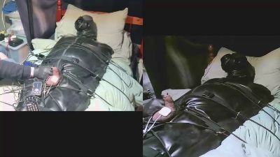 croppedpiguk's Profile