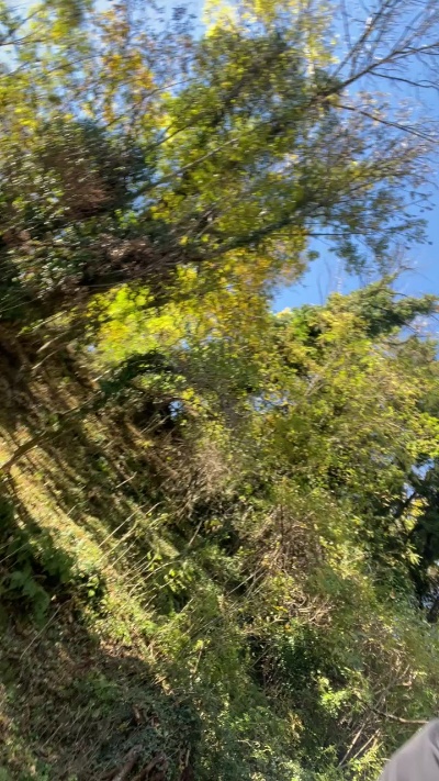 darkbrey777's Profile