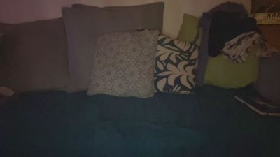 ggchougcomhot's Profile