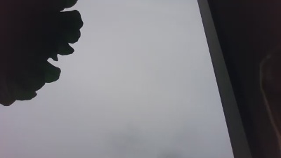 guestpussy's Profile