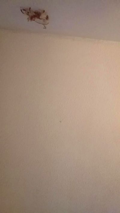 intuitivevirgo's Profile