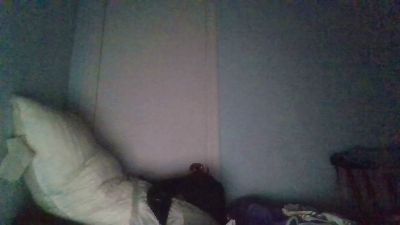 jayshaunbradle3's Profile