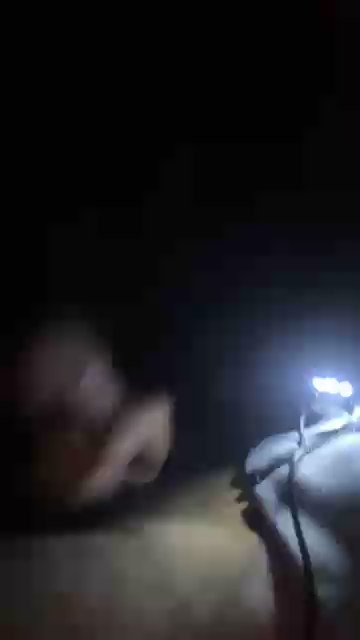 johnyy4444's Profile