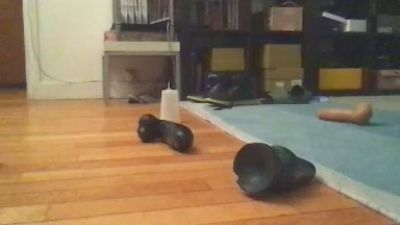 lago2venis's Profile