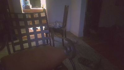 latinstudsex's Profile