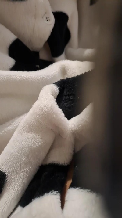 lordladyfun4's Profile